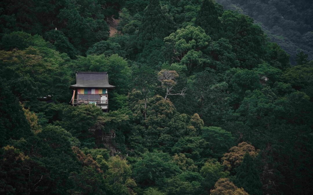 Het geheim van de mensen uit Okinawa