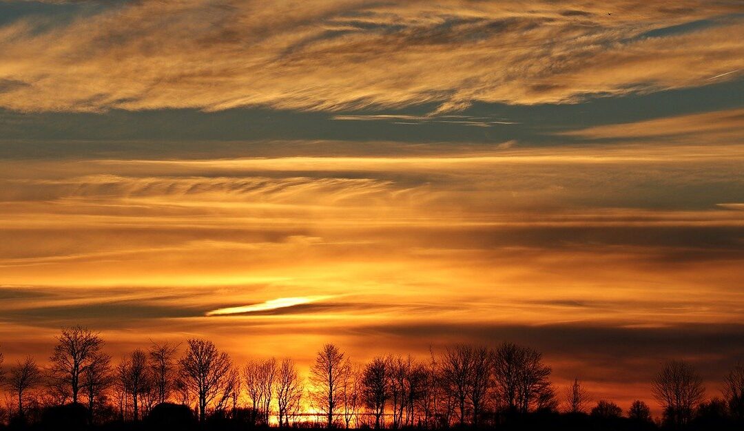 Out with the old, in with the new